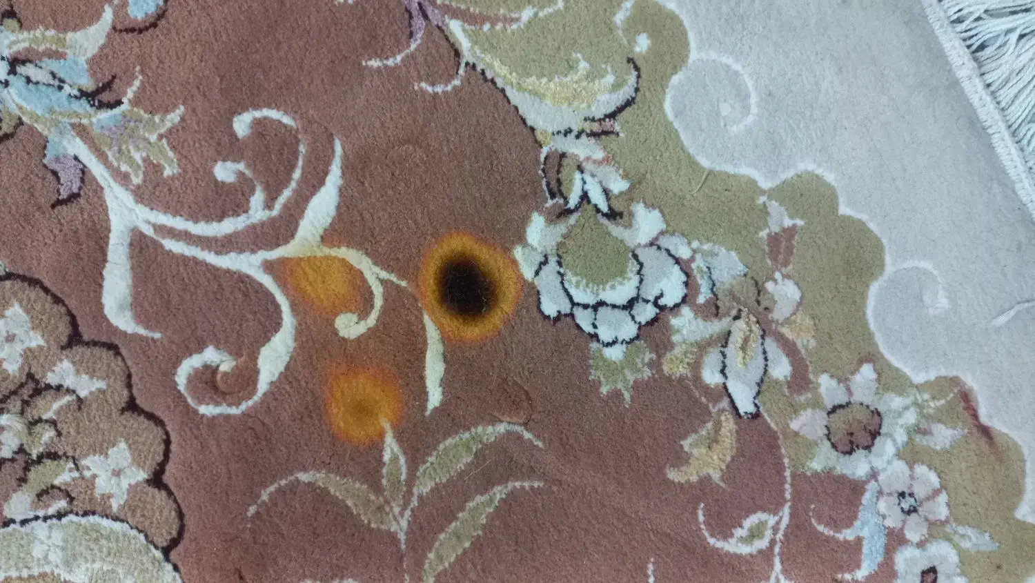 فرش 12 متری|فرش|زاهدان, |دیوار