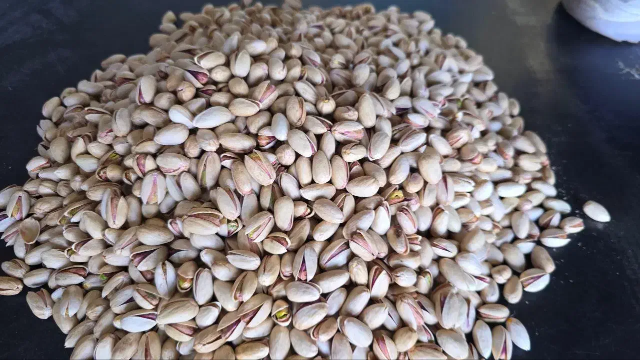 صادرات پسته و خشکبار و محصولات خانگی|خوردنی و آشامیدنی|رفسنجان, |دیوار