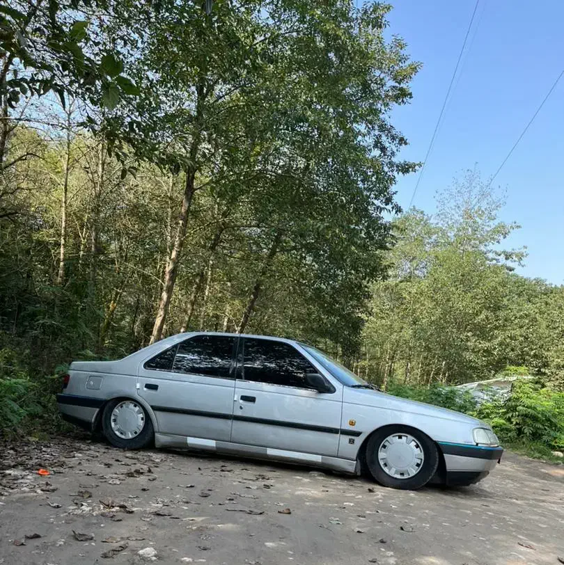 405 نقره ای|خودرو سواری و وانت|فرمهین, |دیوار