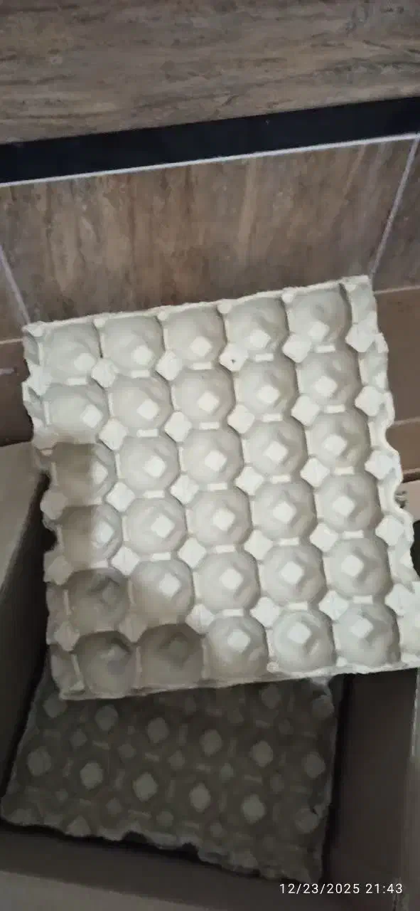 شانه تخم مرغ|عمده‌فروشی|فردوس (خراسان), |دیوار