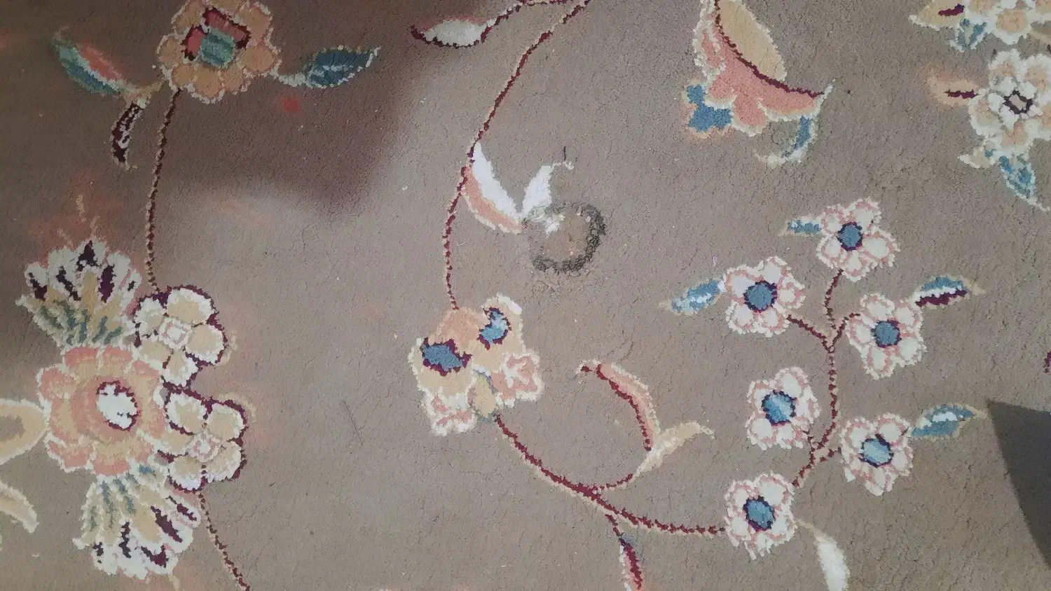 قالی ۳ در ۴ دو عدد گردویی|فرش|کاشمر, |دیوار