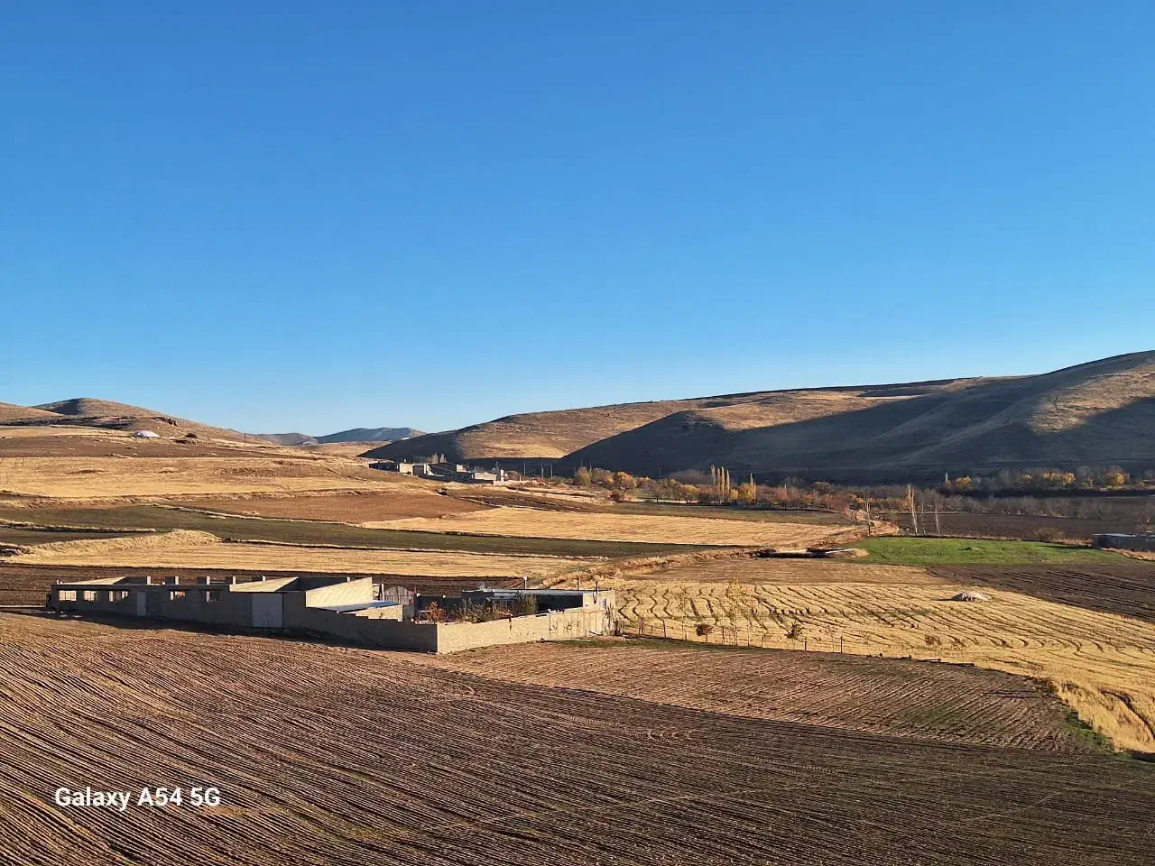 اجاره و یافروش گاوداری صنعتی50 راسی|فروش دفتر صنعتی، کشاورزی، تجاری|سقز, |دیوار