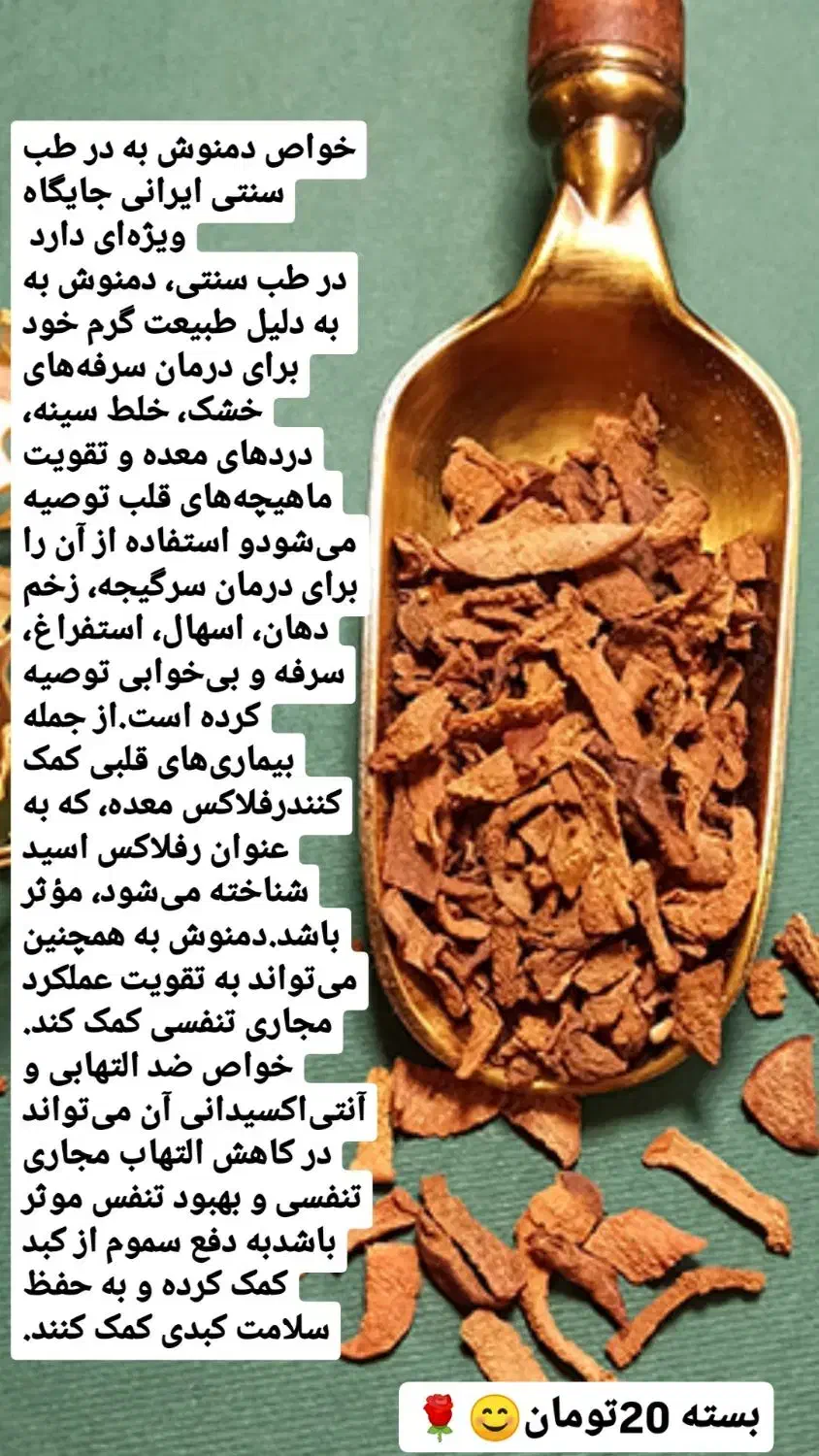 دمنوش به|خوردنی و آشامیدنی|داراب, |دیوار