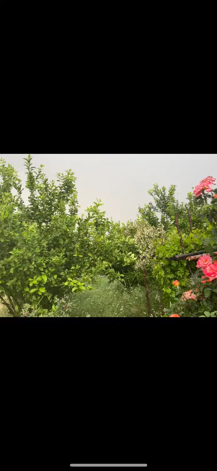 ویلا باغ|اجارهٔ کوتاه‌مدت ویلا و باغ|ایذه, |دیوار