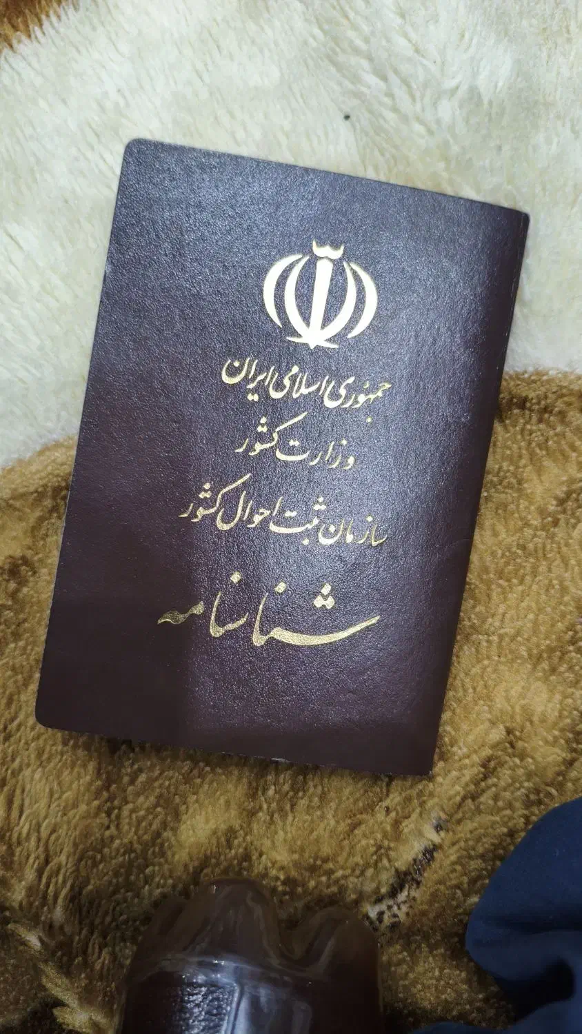 یک عدد شناسنامه و کارت ملی گم شده|اشیا|ازنا, |دیوار