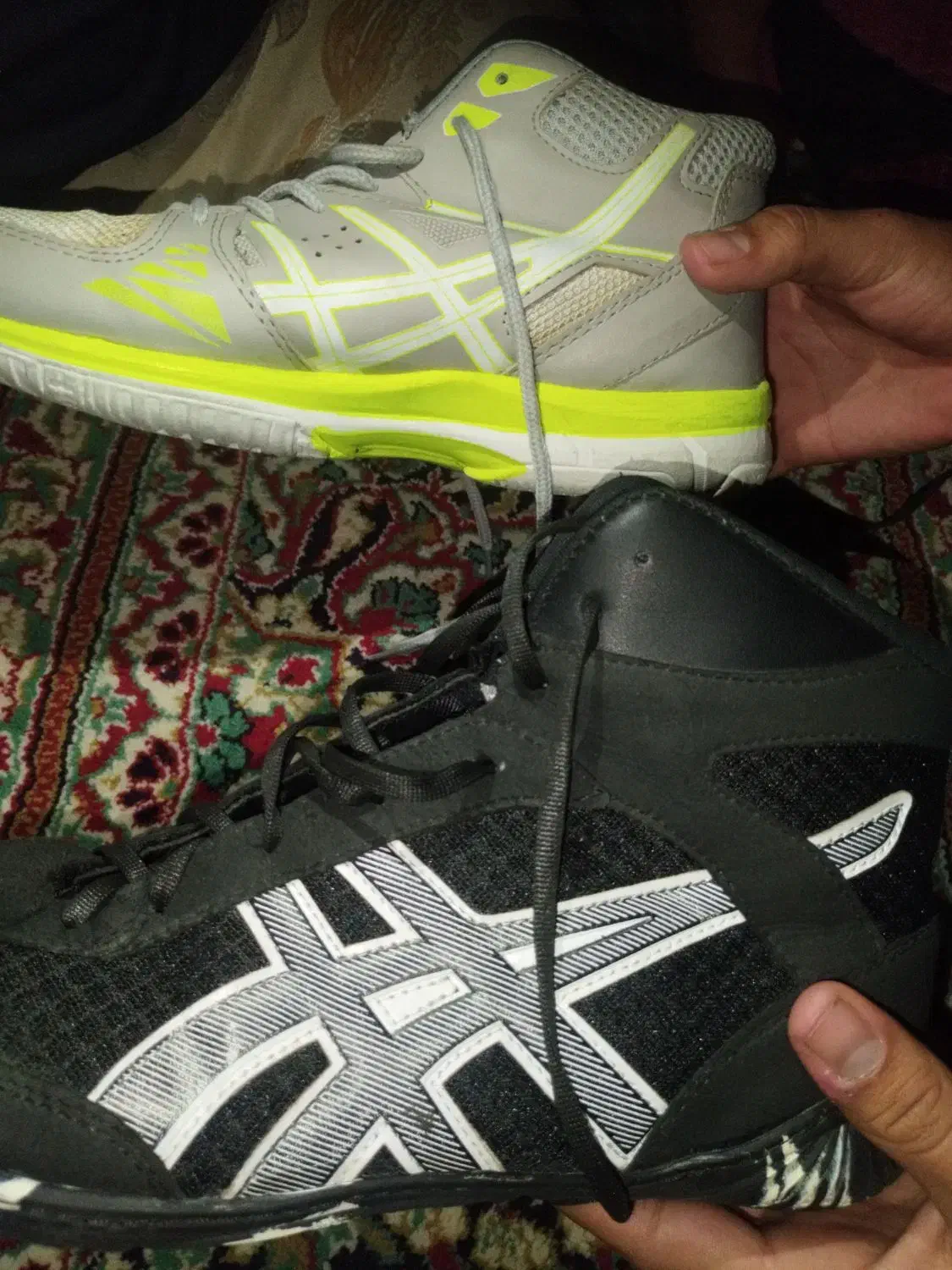 کفش کشتی و والیبال|کیف، کفش، کمربند|یاسوج, |دیوار