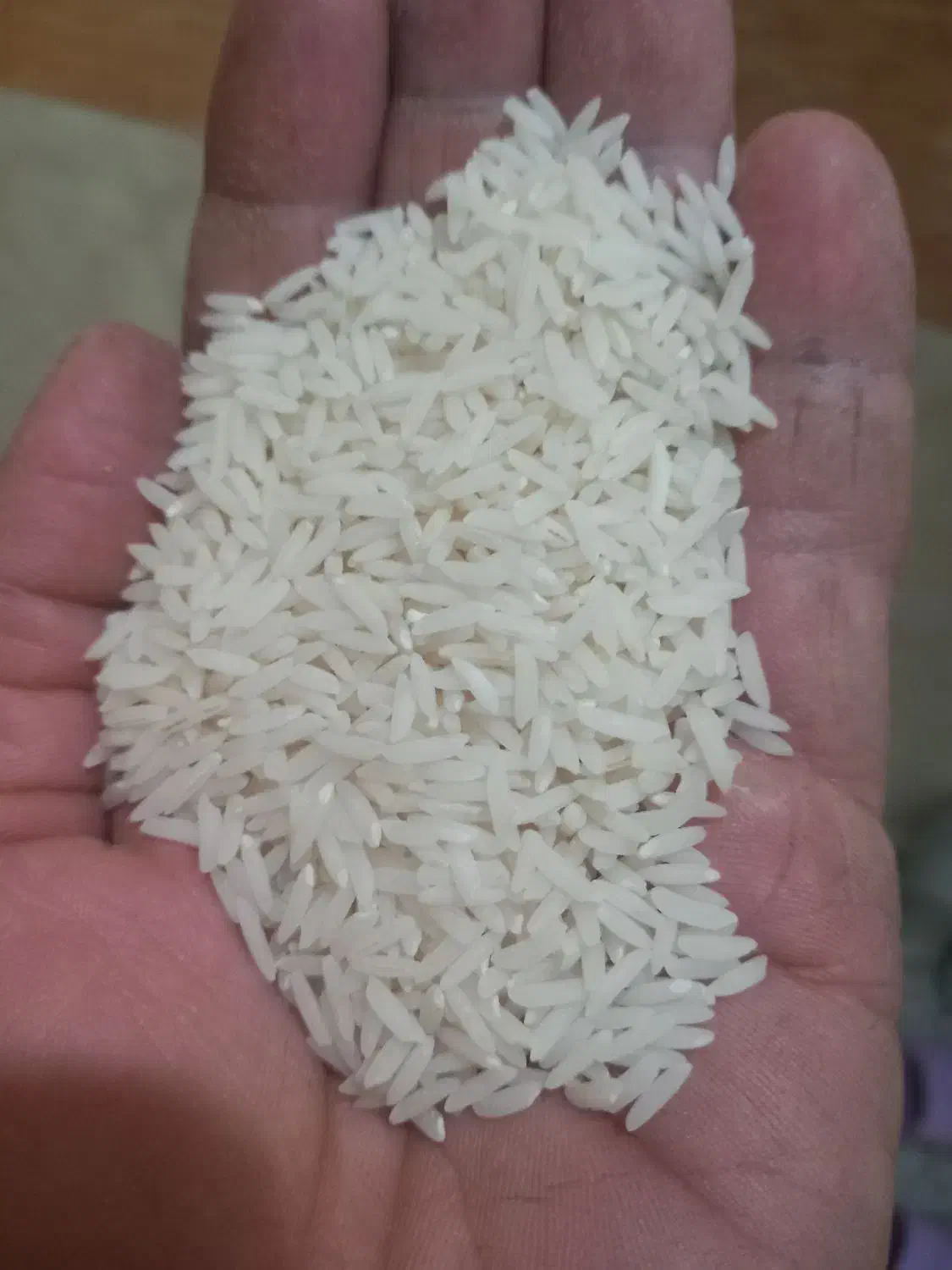 ۲۵۰ کیلو هاشمی اصل لاهیجان ،سورتینگ شده|خوردنی و آشامیدنی|لاهیجان, لیالستان|دیوار