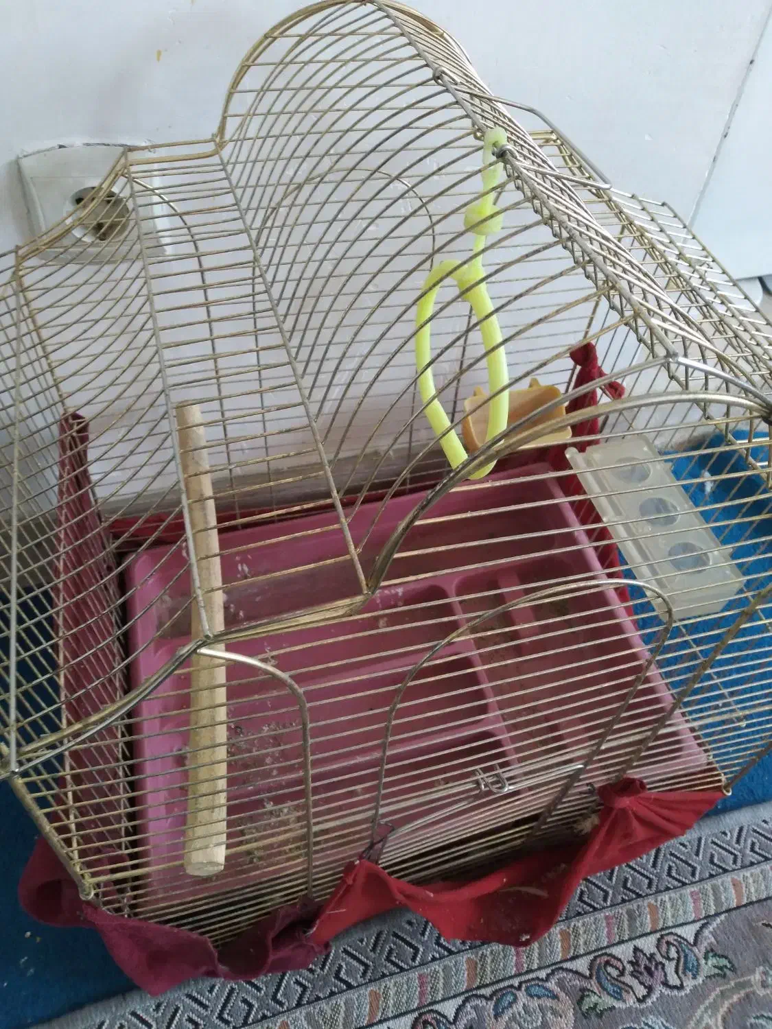 قفس حرفهای|لوازم جانبی حیوانات|فولادشهر, مسکن مهر فولادشهر|دیوار