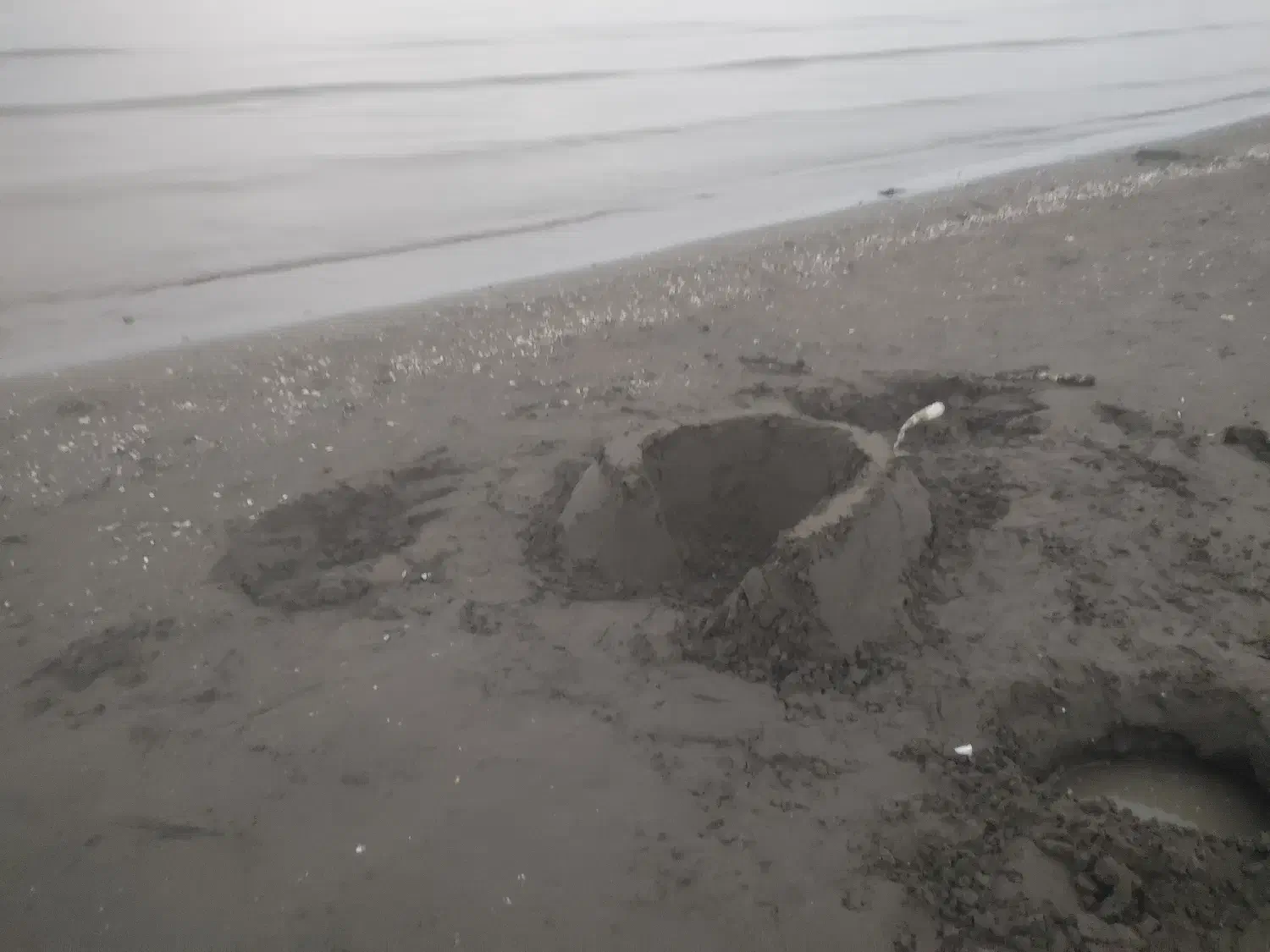 نیرو کار ماهر|استخدام معماری، عمران و ساختمانی|چابکسر, |دیوار