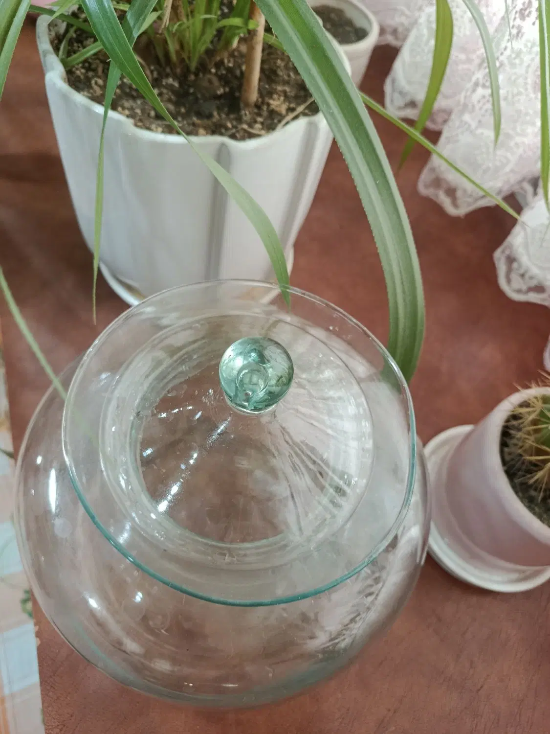 بانکه شیشه ای طرح هلندی بزرگ درب دار|ظروف نگهدارنده، پلاستیکی، یکبارمصرف|تهران, ابوذر|دیوار
