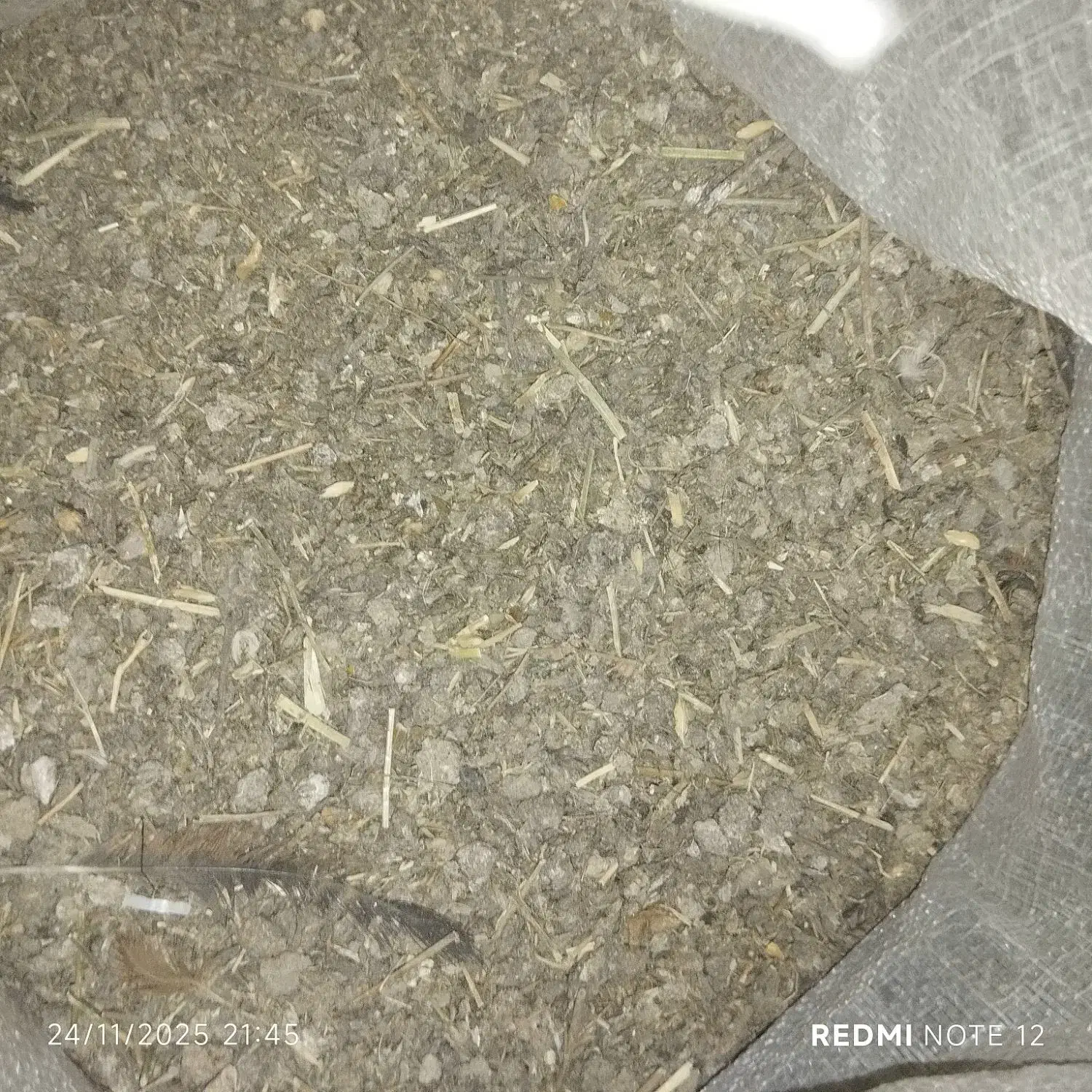 کود مرغ|گل و گیاه طبیعی|بجنورد, |دیوار