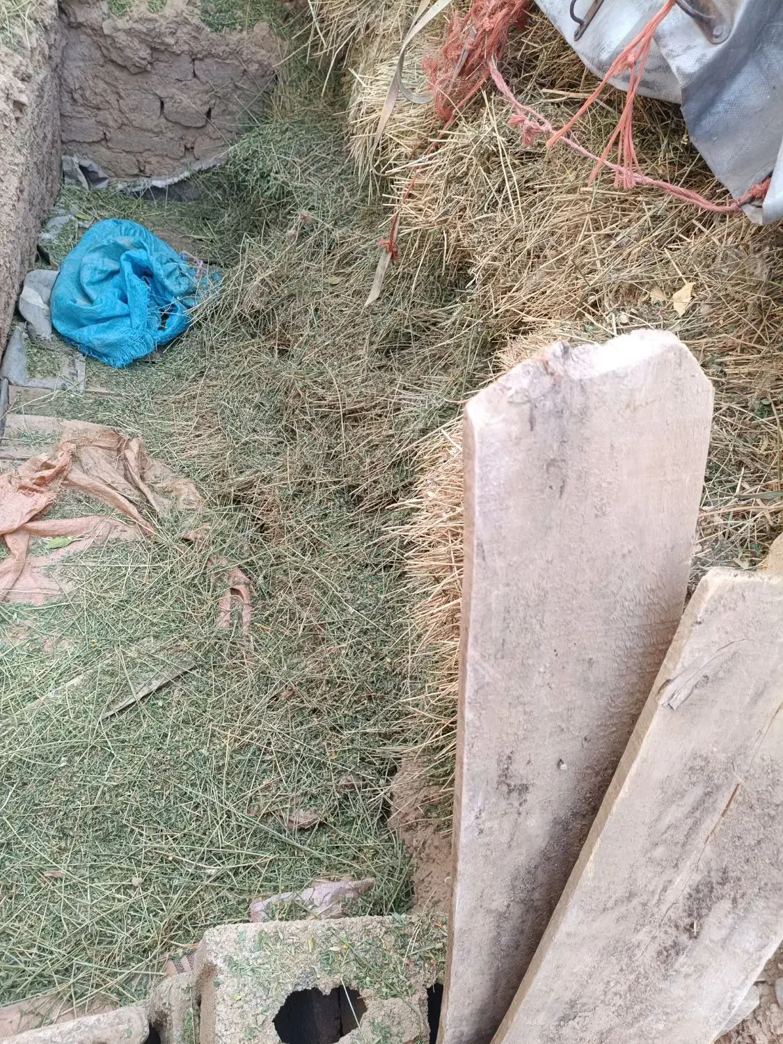 یونجه|عمده‌فروشی|صائین قلعه, |دیوار