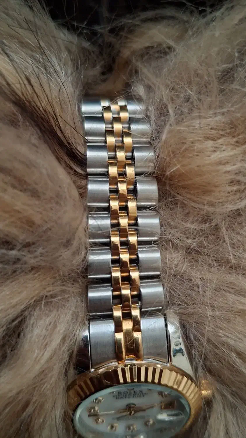 ساعت ROLEX|ساعت|پیشوا, |دیوار