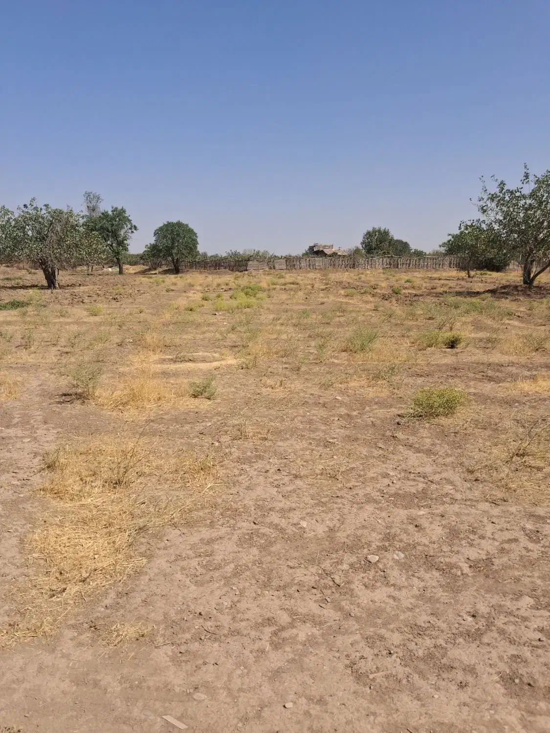 زمین زراعی ، نزدیک شهر|فروش زمین و ملک کلنگی|قزوین, |دیوار