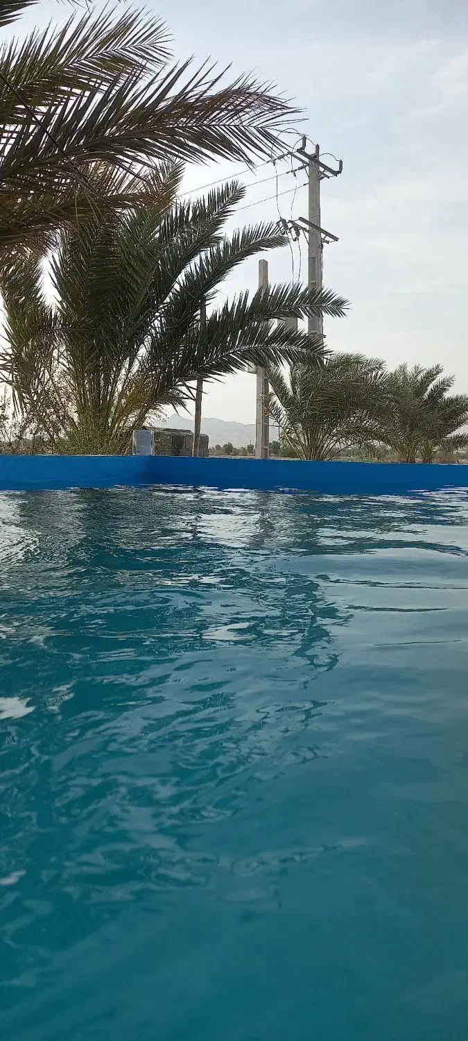 فروش زمین کشاورزی|فروش دفتر صنعتی، کشاورزی، تجاری|بندرعباس, |دیوار