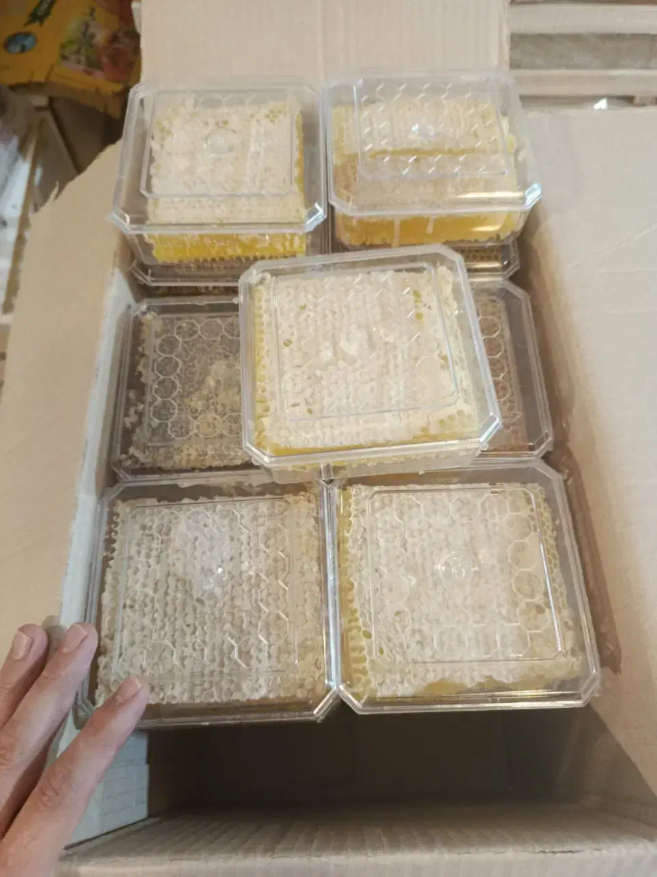 عسل کندو|عمدهفروشی|شیراز, زرهی|دیوار