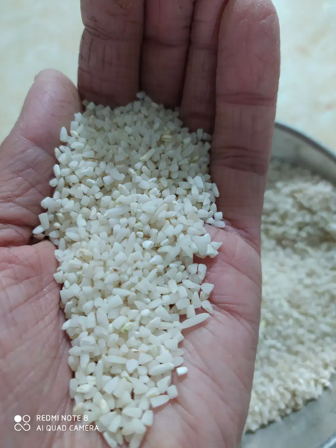 برنج محلی علی کاظمی موجود ه|خوردنی و آشامیدنی|زاغه, |دیوار