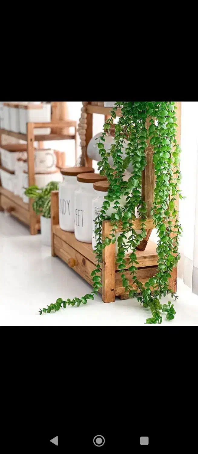 لوازم خانگی|ظروف پخت‌وپز|ایوان, |دیوار