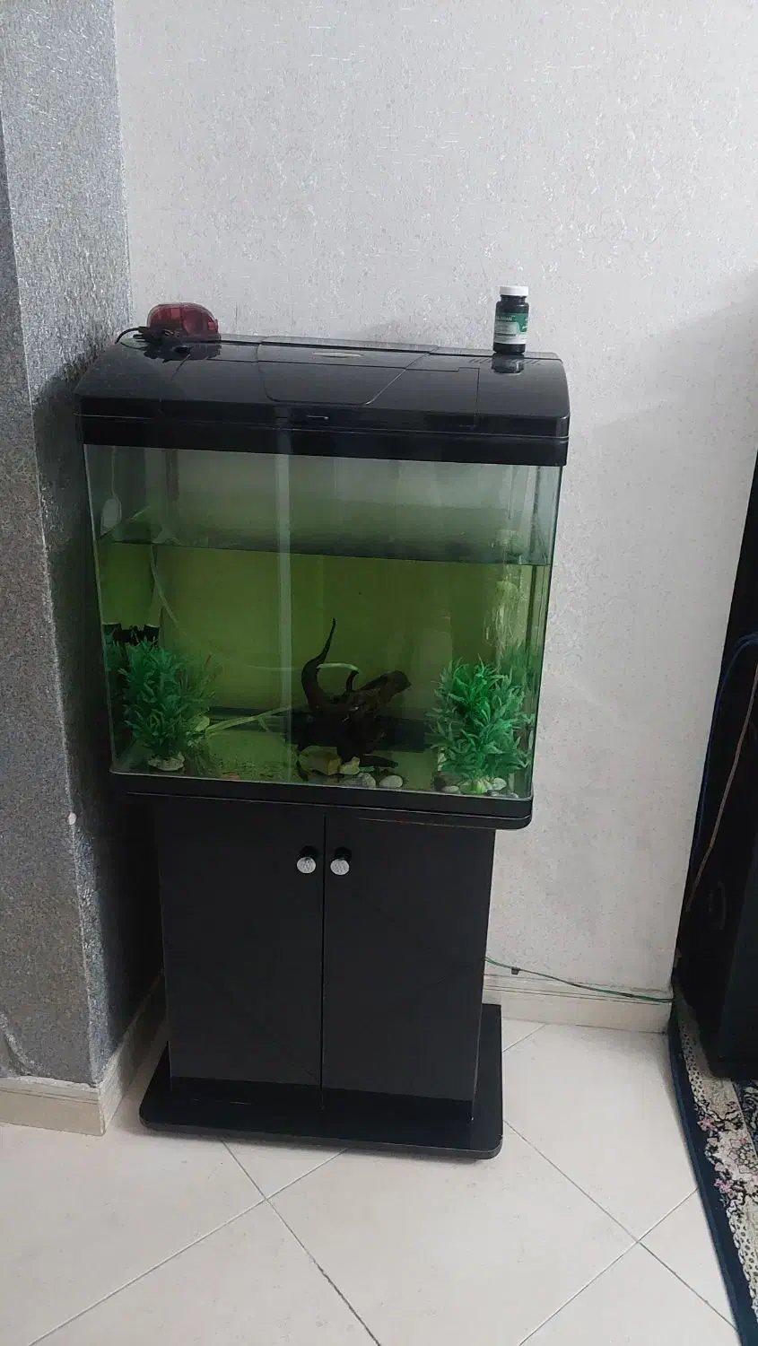 آکواریوم|ماهی|هشتگرد, فاز ۳ مهستان|دیوار