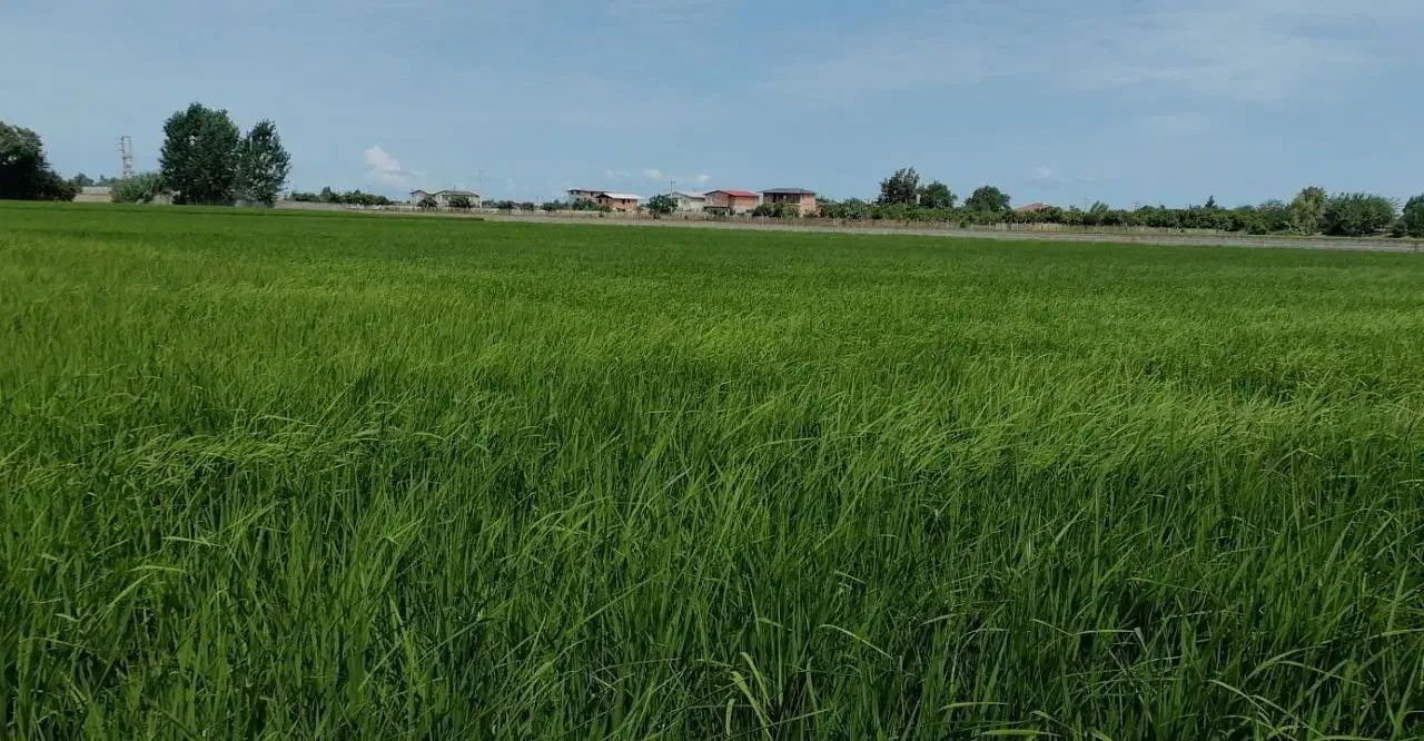 پیش فروش واحد ویلایی روستای ساحلی آغچه|پیش‌فروش املاک|بوئین و میاندشت, |دیوار