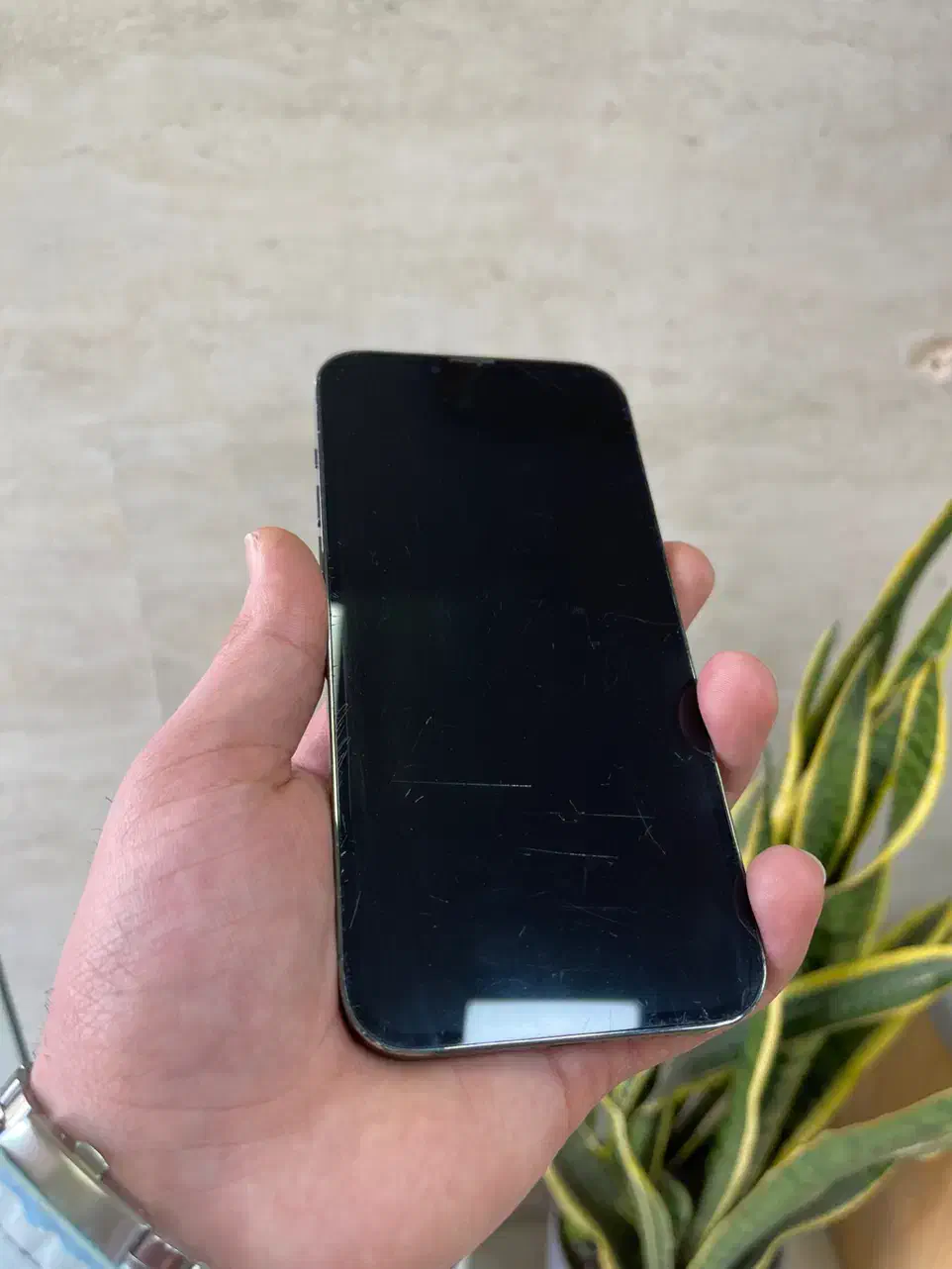 13 promax 512|موبایل|تهران, آبشار تهران (دریاچه)|دیوار