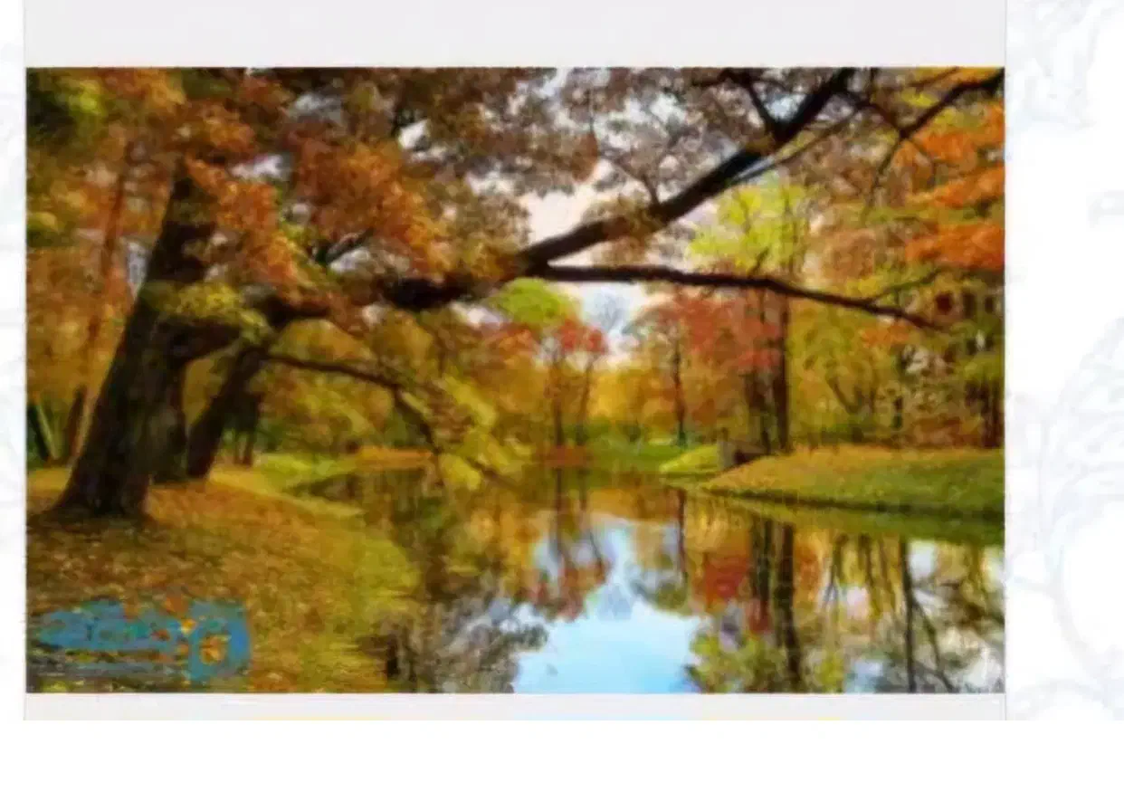 تابلوفرش|تابلو فرش|یزد, |دیوار