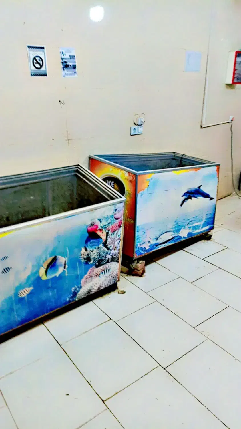 مغازه ماهی فروشی|فروشگاه و مغازه|سراوان, |دیوار