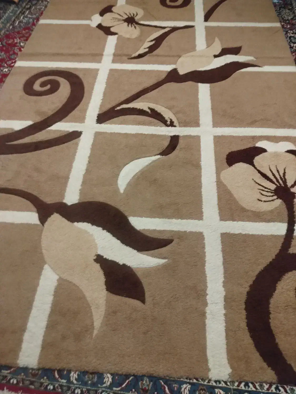 فرش پرشین نو داخل پلاستیک|فرش|بجنورد, |دیوار