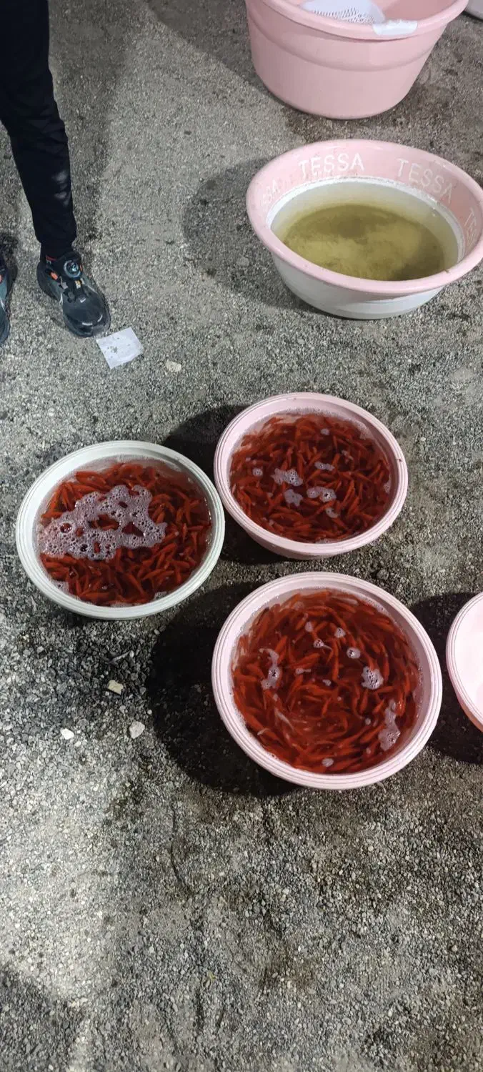 ماهی|ماهی|شوشتر, |دیوار