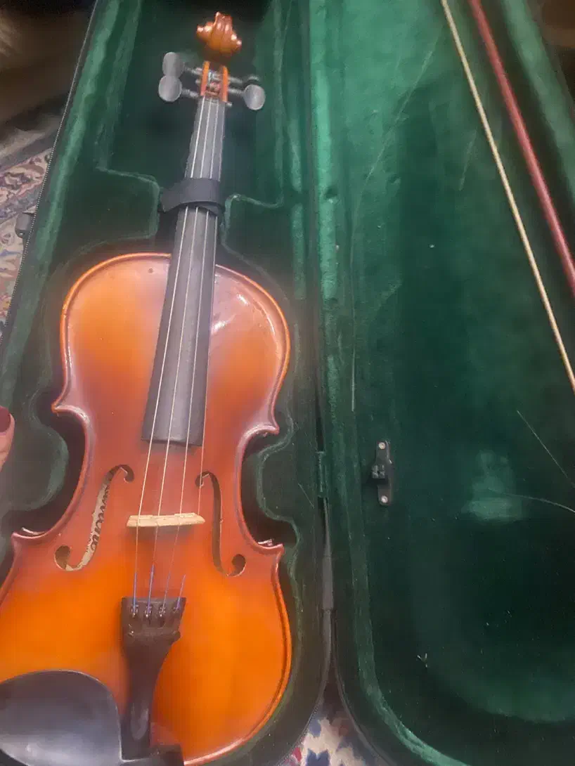 ویلن تمیز Maxtone|ویولن|تهران, یوسف‌آباد|دیوار