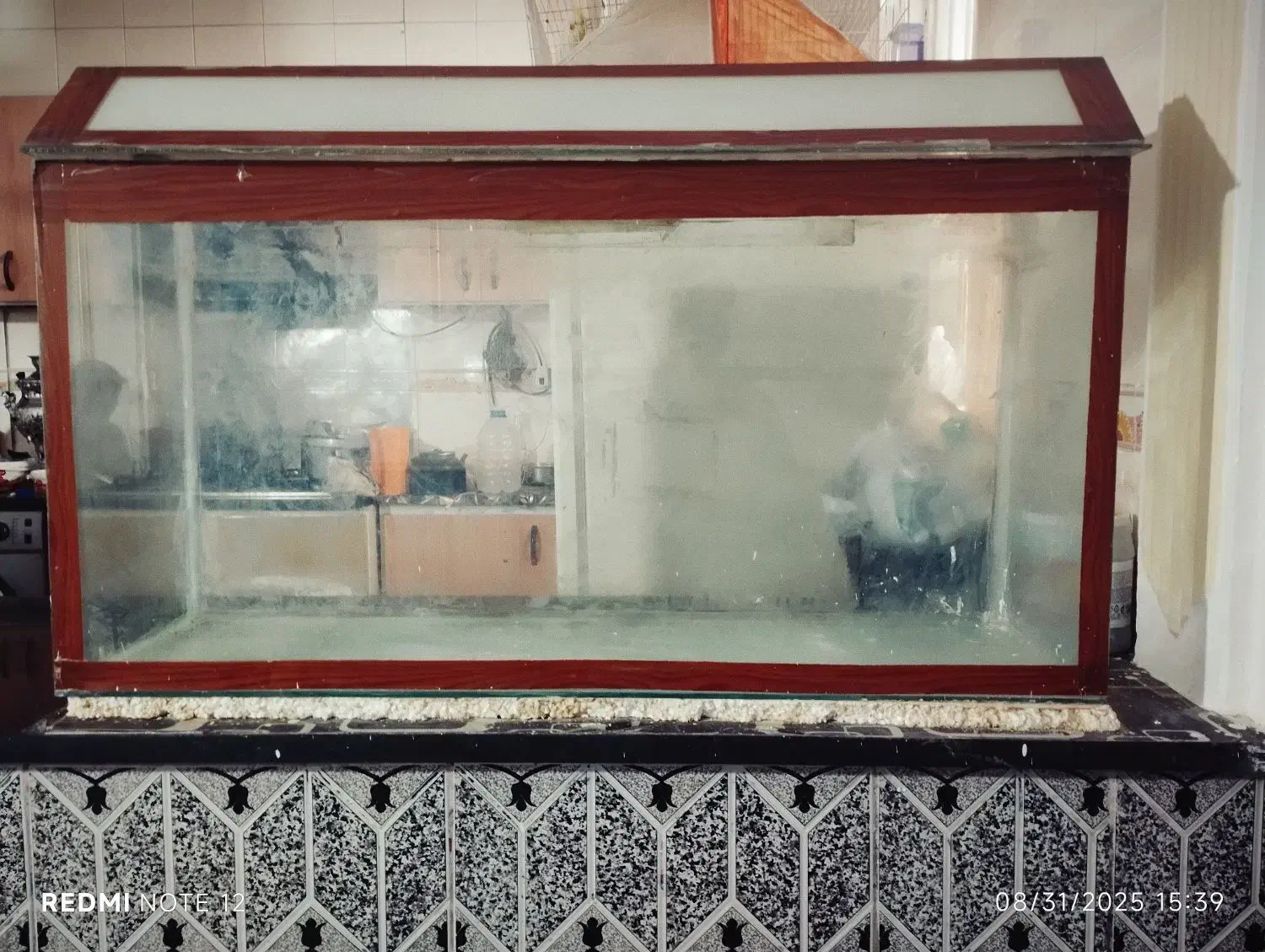 آکواریوم|ماهی|زابل, |دیوار