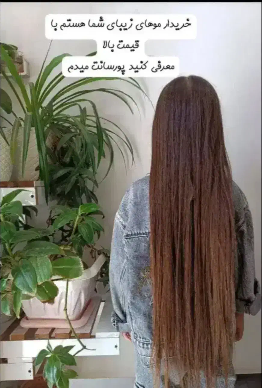 فروش کوتاهی (خریدار مو)|آرایشی، بهداشتی، درمانی|اراک, |دیوار