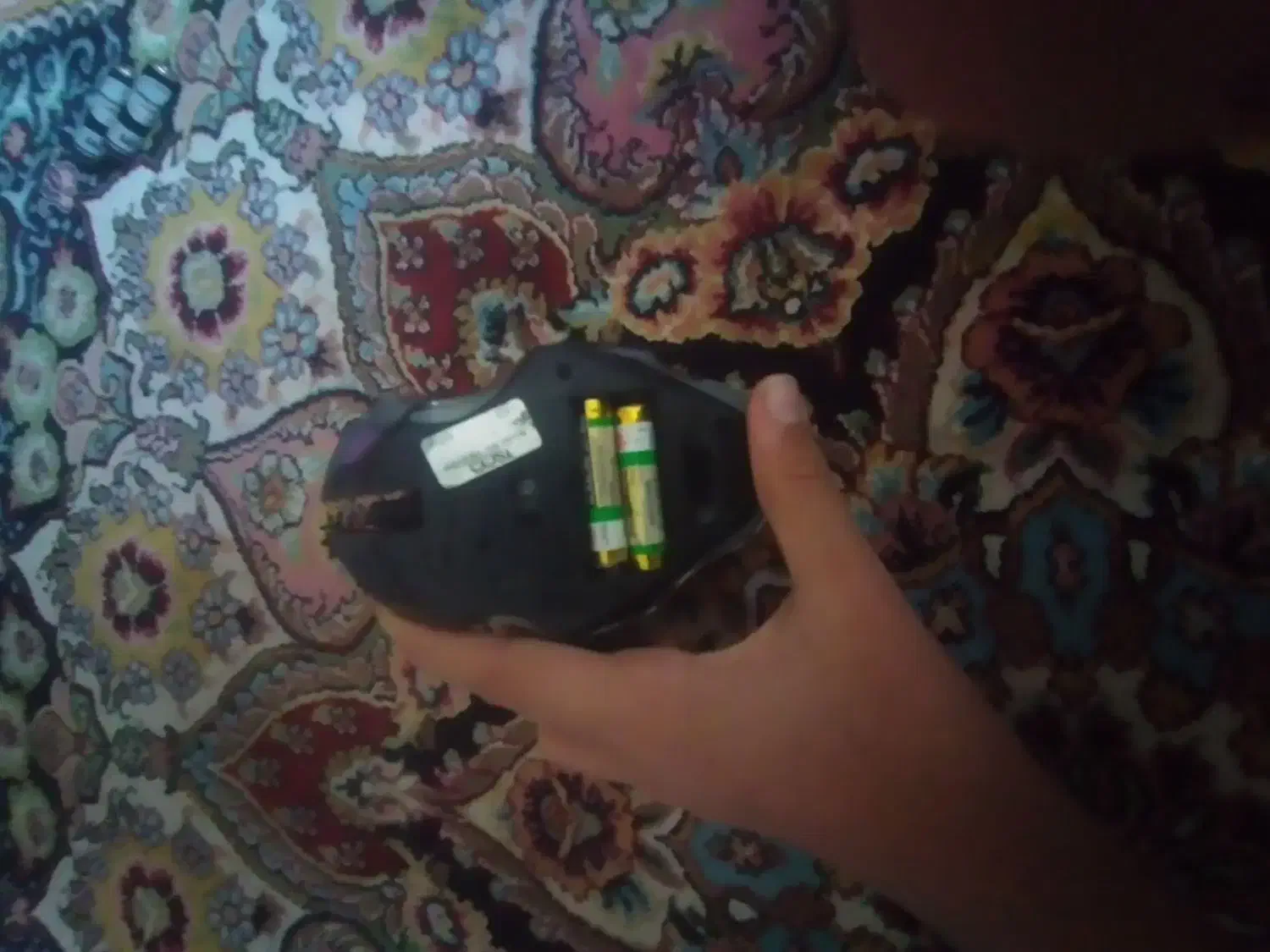 ماوس گیمینگ اصلی مفت مفت|قطعات و لوازم جانبی رایانه|بندرعباس, |دیوار