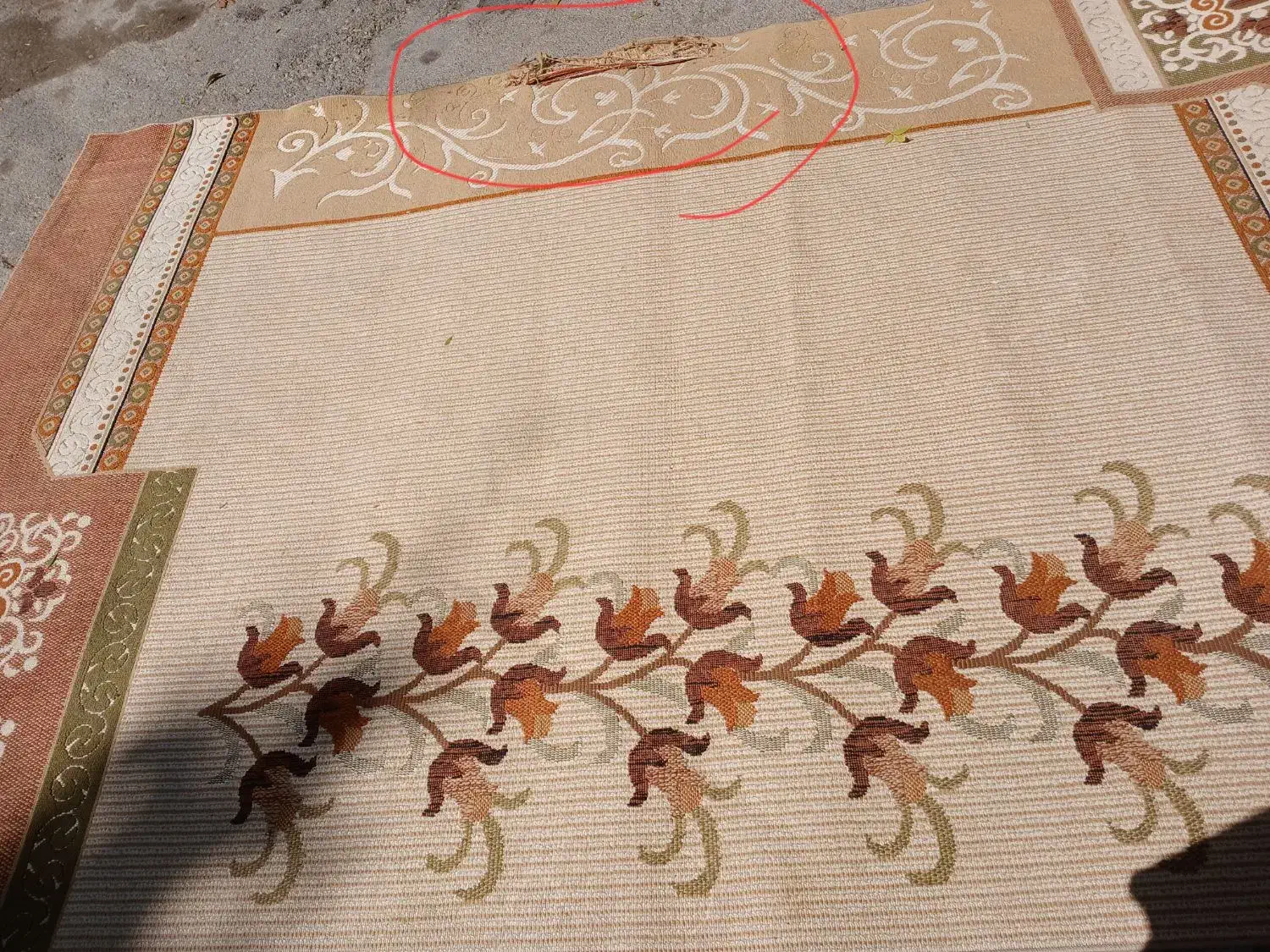 موکت وگلیم|موکت|نورآباد, |دیوار