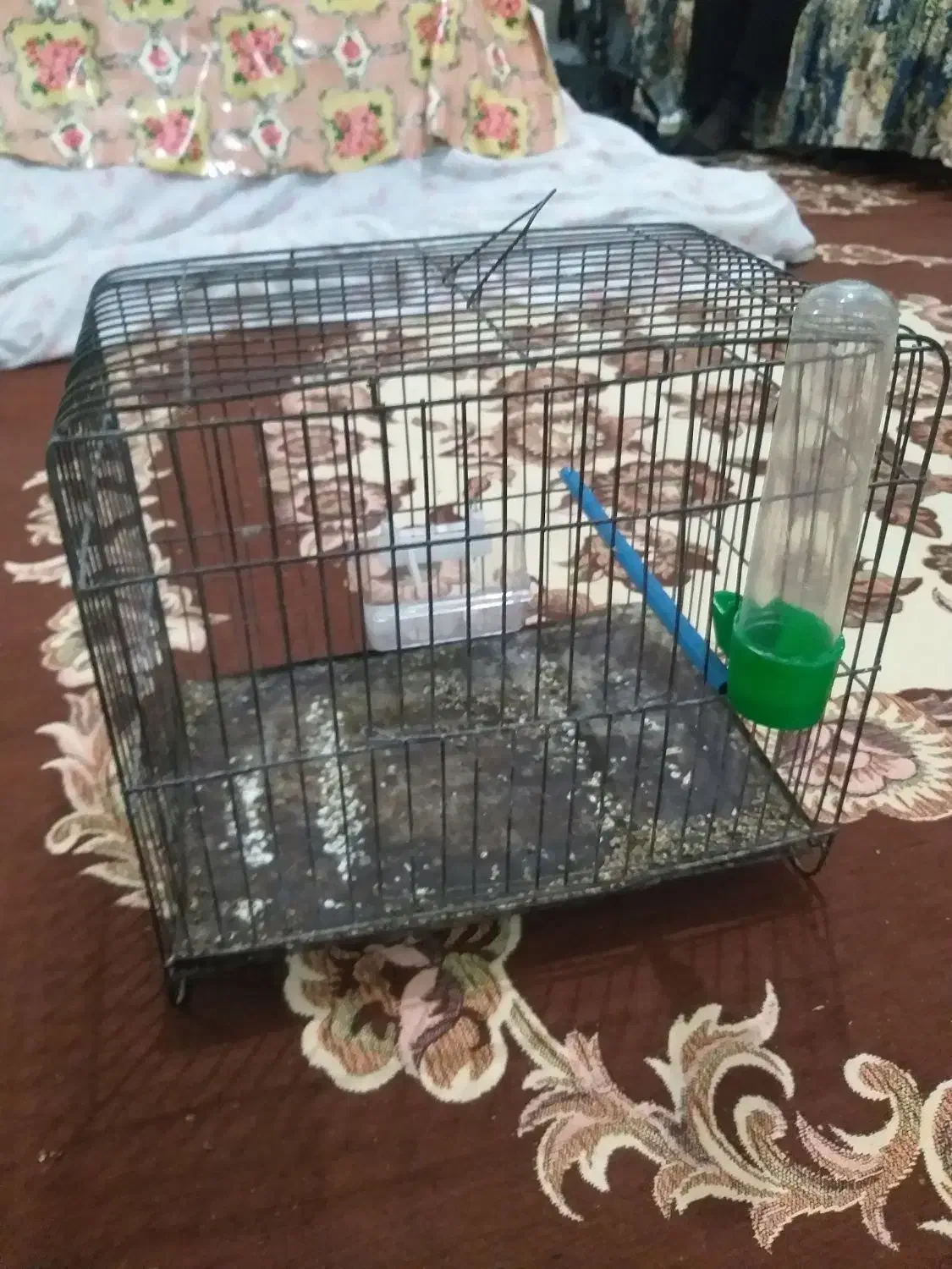 قفس کوچک سره|لوازم جانبی حیوانات|خمین, |دیوار