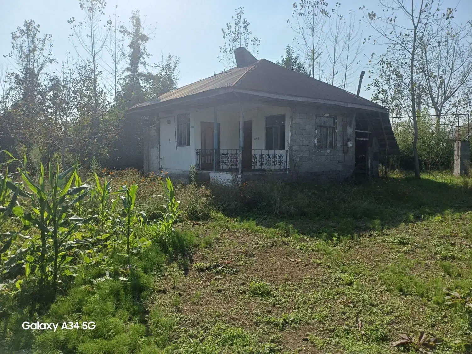 ویلا جنگلی|فروش خانه و ویلا|رشت, بازار|دیوار