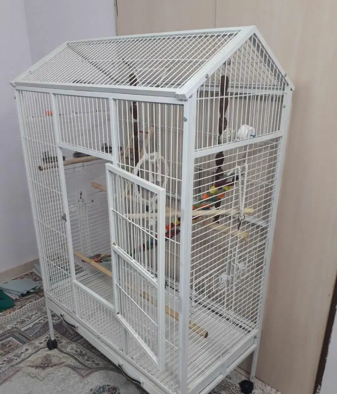 قفس بزرگ طوطی|لوازم جانبی حیوانات|گلبهار, شهر جدید گلبهار|دیوار