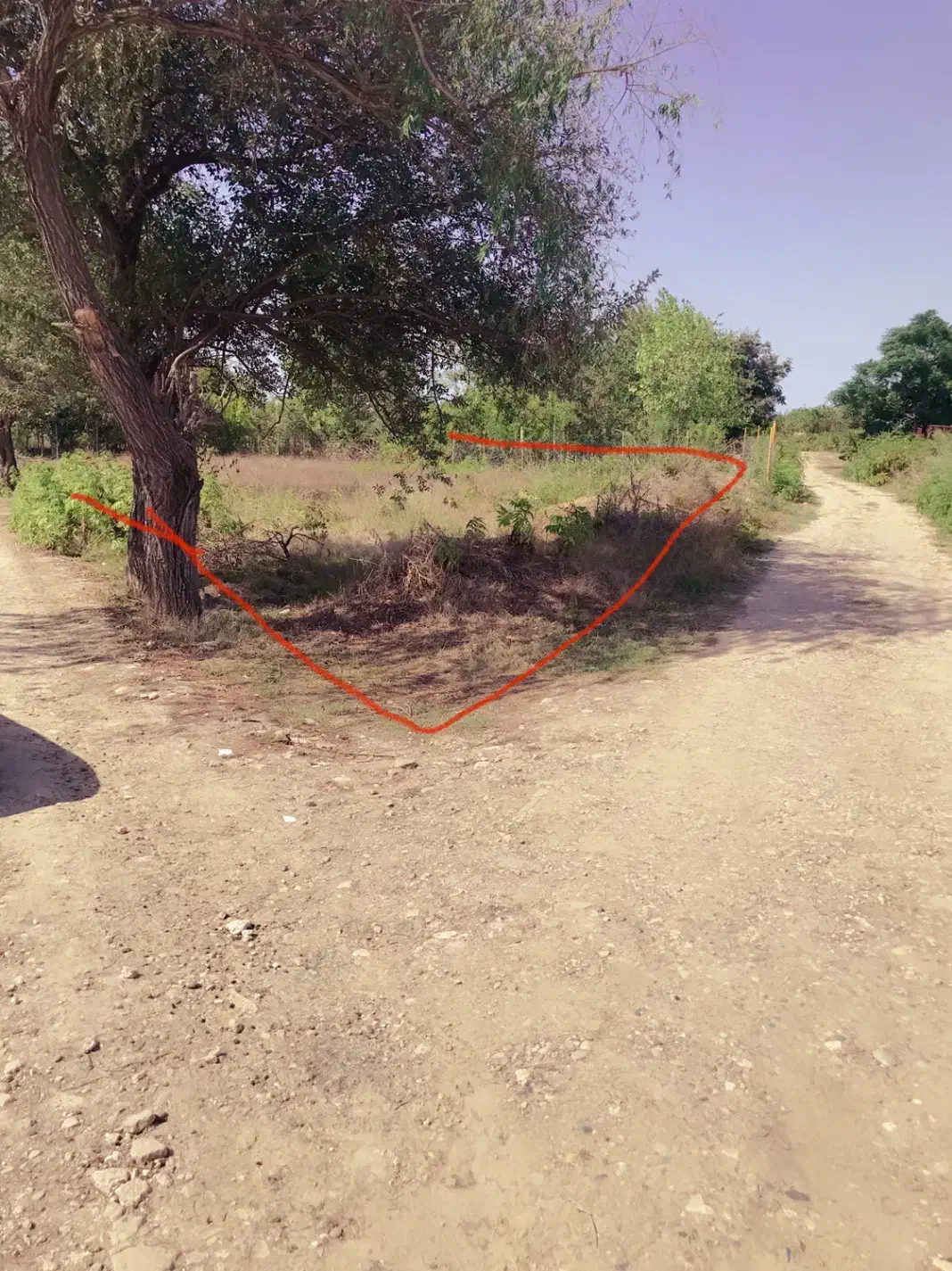 زمین باغچهای شهرکامامحسین ارزان قیمت|فروش زمین و ملک کلنگی|ساری, |دیوار