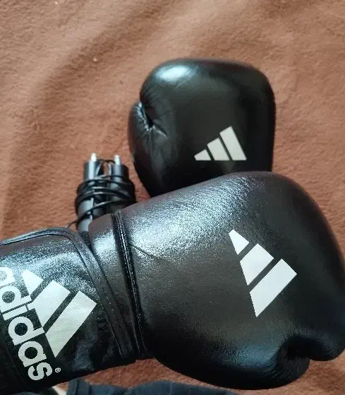 ورزشی|تجهیزات ورزشی|بوکان, |دیوار