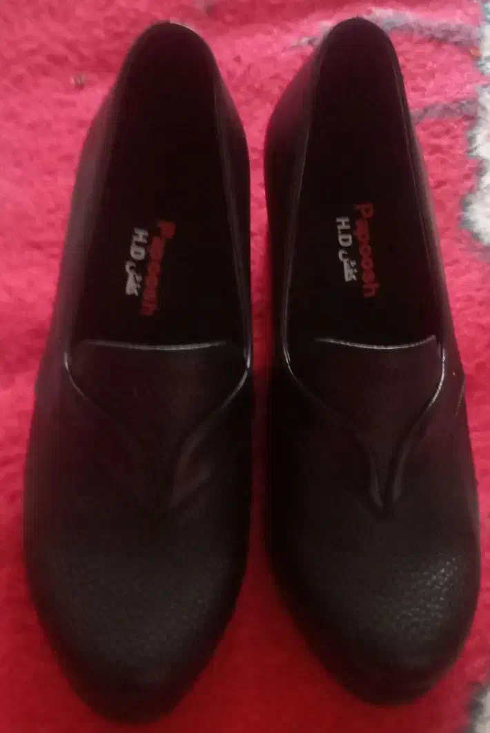 کفش|کیف، کفش، کمربند|آذرشهر, |دیوار