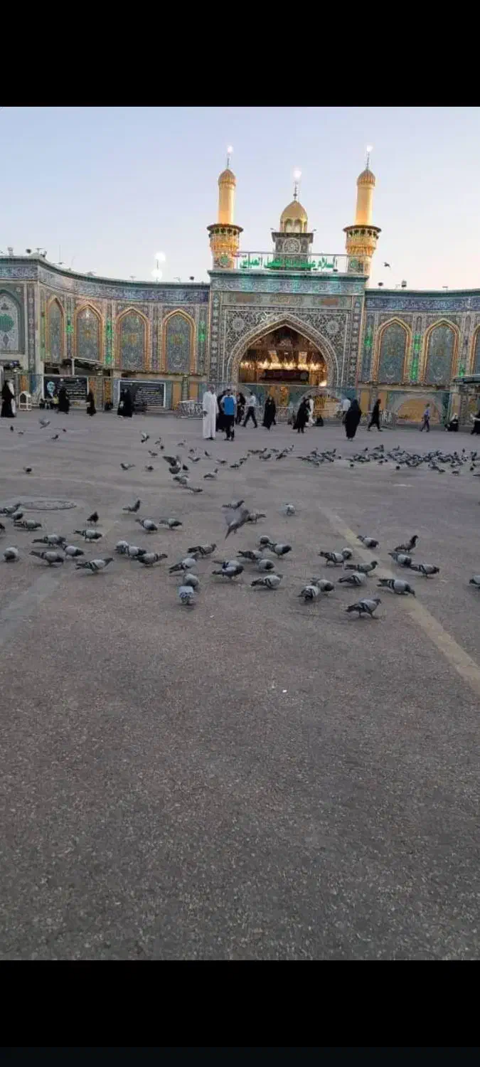 کاظمین کربلا نجف|تور و چارتر|اهواز, طالقانی|دیوار
