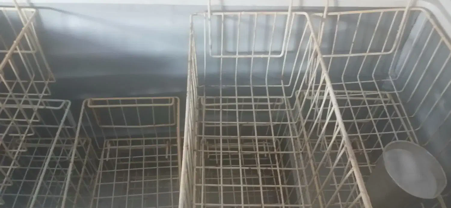 فریز صندوقی|یخچال و فریزر|شادگان, |دیوار