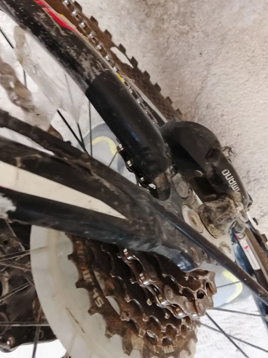 دوچرخه|دوچرخه، اسکیت، اسکوتر|نورآباد, |دیوار