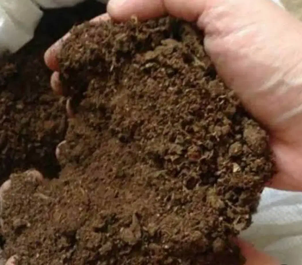 کود ، گاوی ، پوسیده|خدمات باغبانی و درختکاری|تهران, شادآباد|دیوار