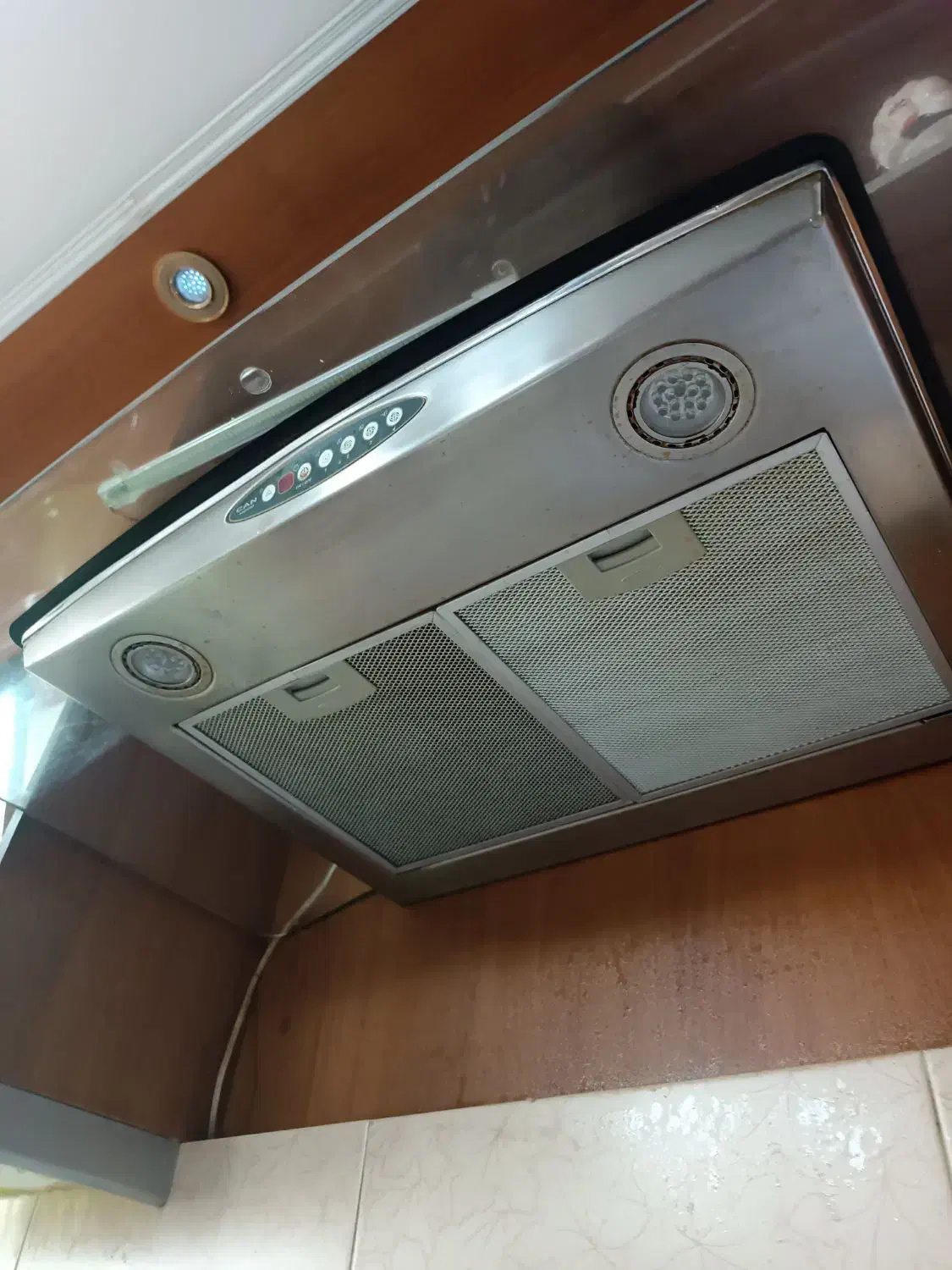 هود کن|هود|رشت, کاکتوس|دیوار