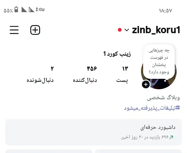 پیج اینستاگرام|لوازم جانبی موبایل و تبلت|پلدشت, |دیوار