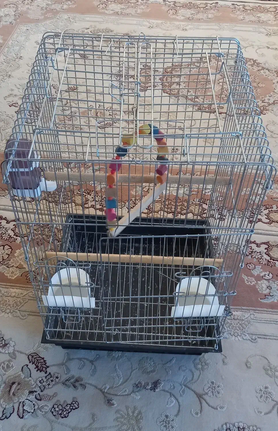 قفس پرنده|لوازم جانبی حیوانات|شاهین دژ, |دیوار