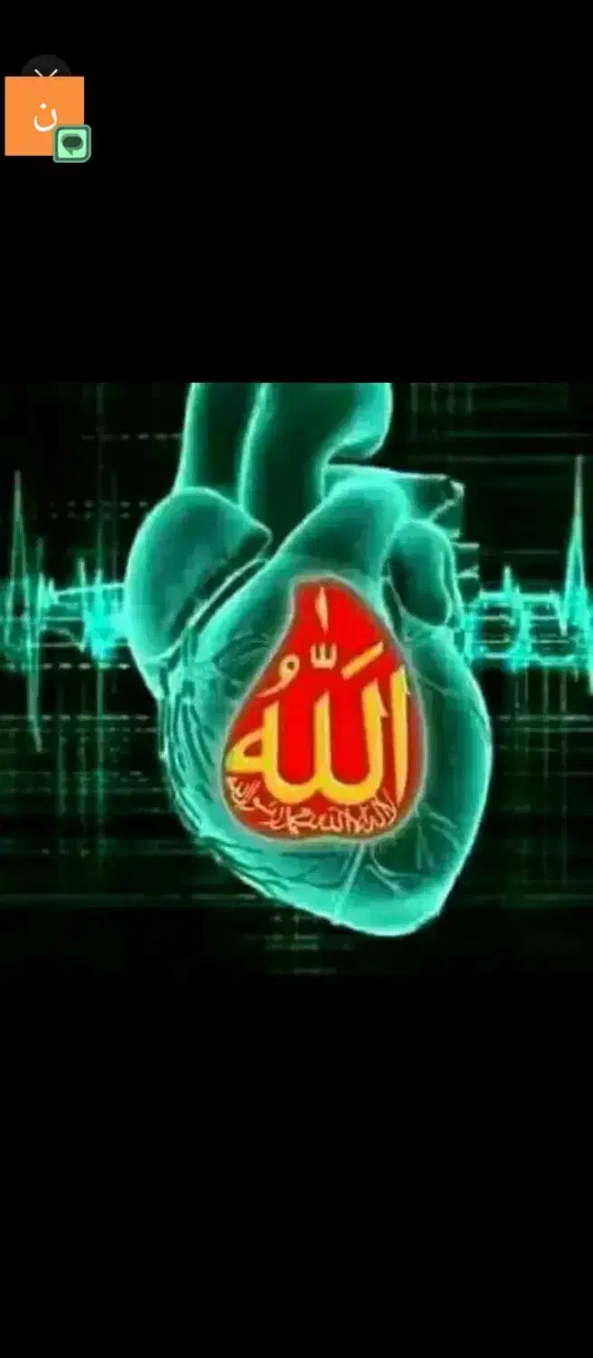 نیازمند|فعالیت داوطلبانه|بیرجند, |دیوار