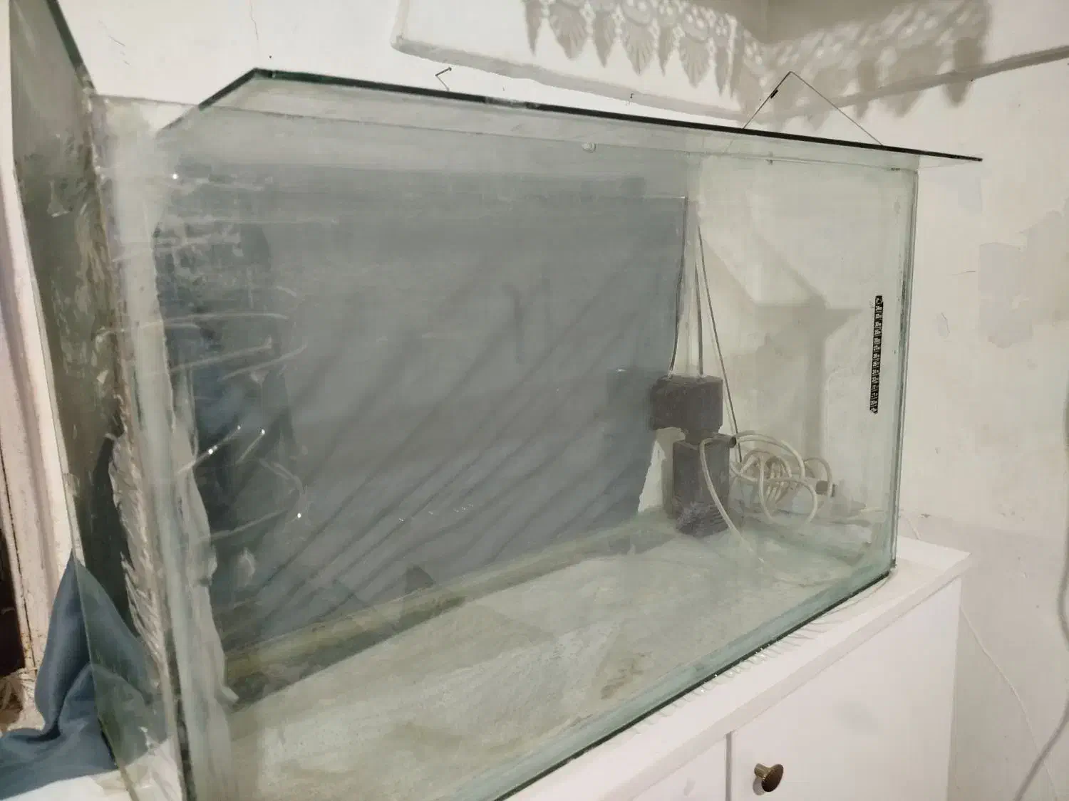 اکواریوم|ماهی|تویسرکان, |دیوار