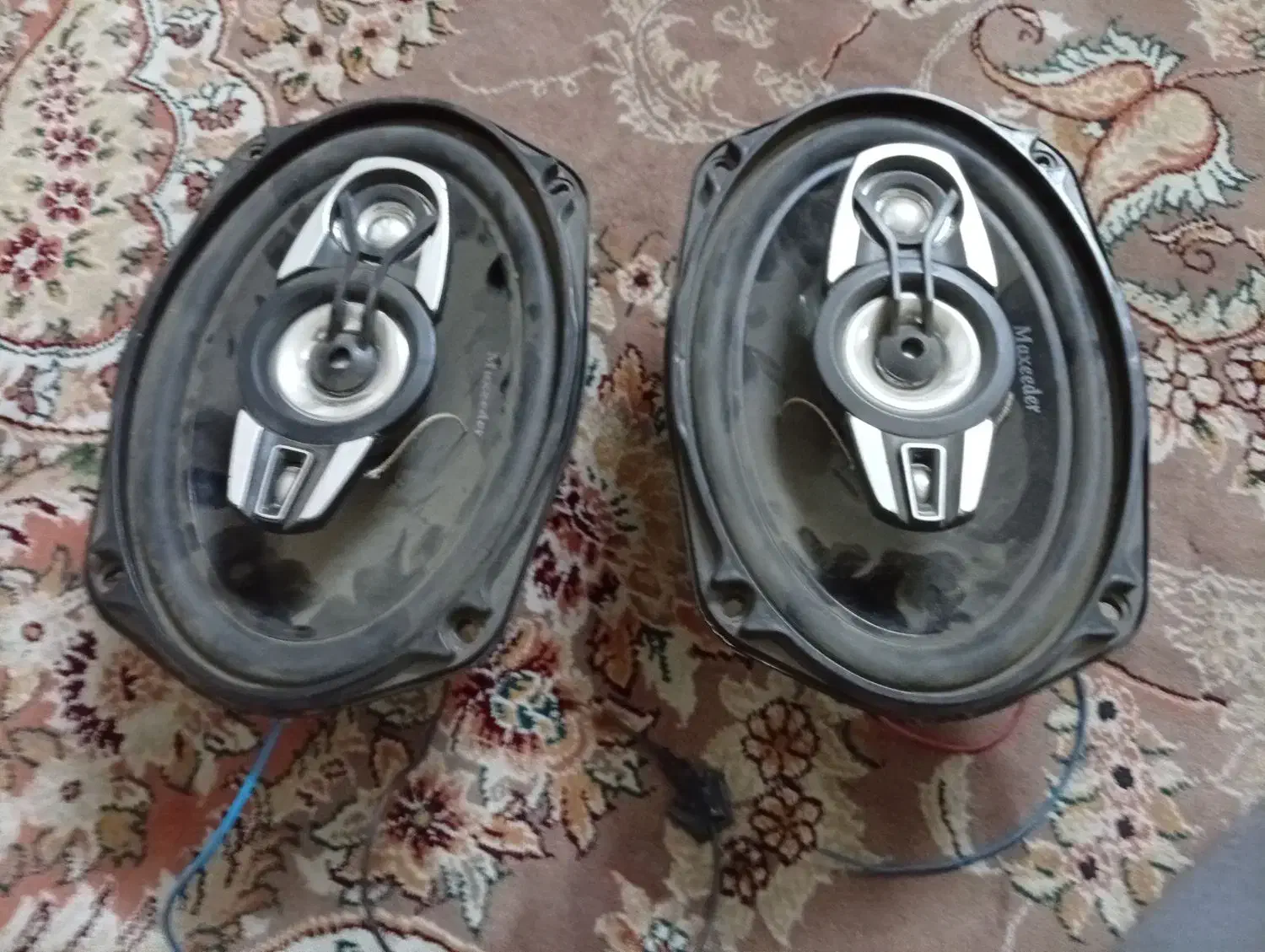 یک جفت باند مکسیدر ۶۹۵۰|سیستم صوتی خانگی|ری, شهادت|دیوار